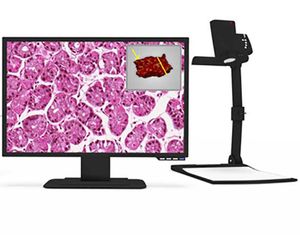 histopathology macroscopic imaging workstation