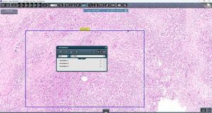 control software