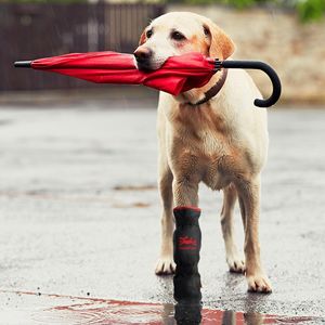 waterproof veterinary walker boot