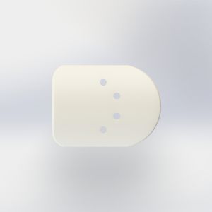ungual prosthesis