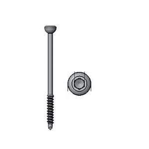 malleolus compression bone screw