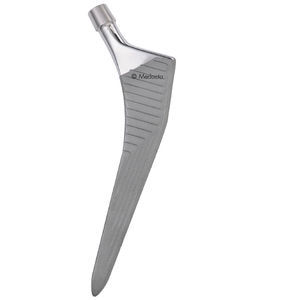 cementless femoral stem