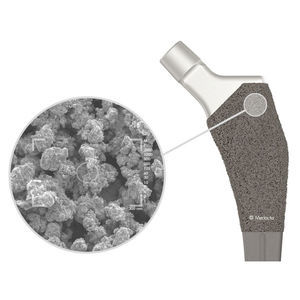 cementless femoral stem