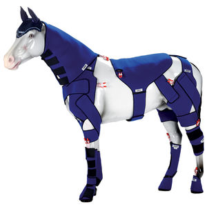 equine veterinary orthosis