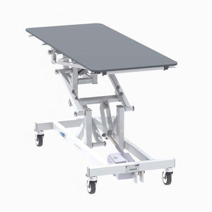 veterinary examination table