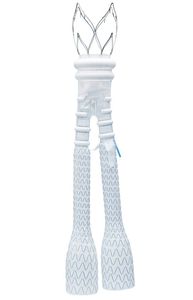 abdominal aorta stent graft