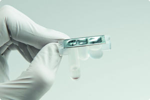 adiponectin assay kit