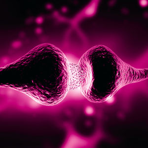 monoclonal antibody