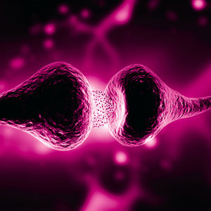 monoclonal antibody