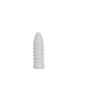 anterior cruciate ligament interference screw