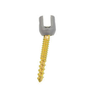 thoracic vertebra pedicle screw