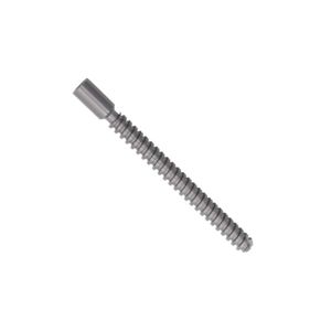 femur compression bone screw