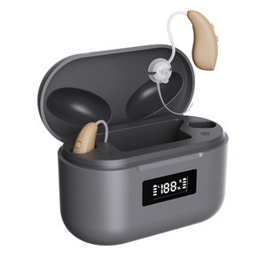 BTE hearing aid 1
