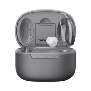 RIC hearing aid 1