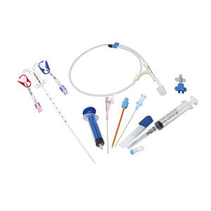 access catheter