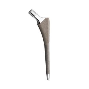 cementless femoral stem