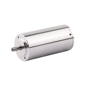 brushless motor