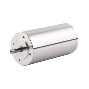 brushless motor