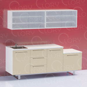 veterinary clinic worktop 1