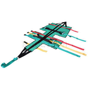 Neil Robertson stretchers