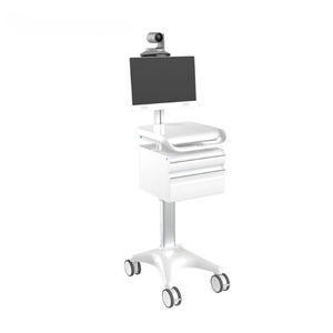 video-conferencing computer cart