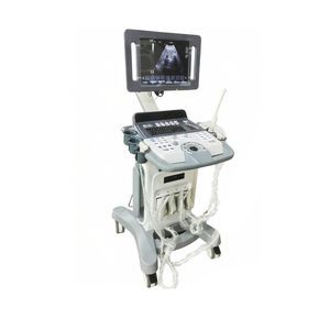 on-platform ultrasound system