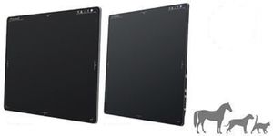 veterinary radiography flat panel detector 1