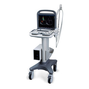 portable, with trolley ultrasound system