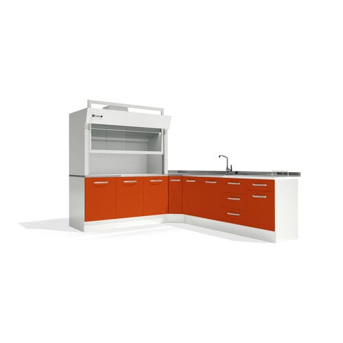Storage cabinet - FURNITURE "B" - LORAN - for dental instruments / hospital / with door