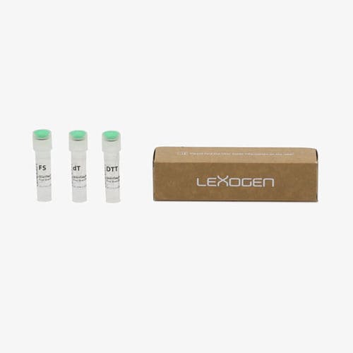 Solution reagent kit - QuantSeq-Flex  - lexogen - for single cell RNA sequencing