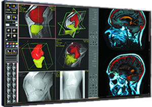 Medical display - DBI-PN47 - Double Black Imaging - 1920 x 1080 / LCD / HDMI