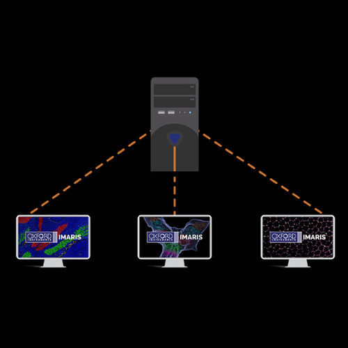 Image analysis software - Imaris  - Oxford Instruments - reporting / 3D viewing / measurement