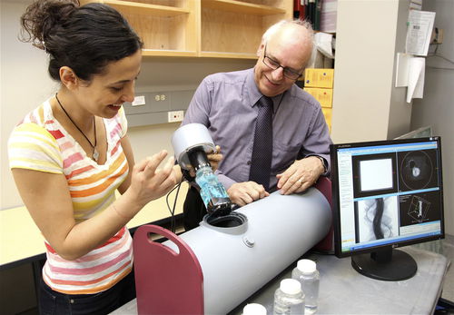 CT scan test phantom - DeskCAT™ - Modus Medical Devices - general purpose