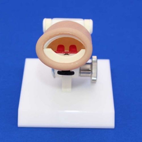 Plastic surgery patient simulator - SIMFVP - Créaplast - baby / mouth