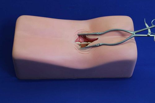 Spine surgery patient simulator - LM00 - Créaplast - torso