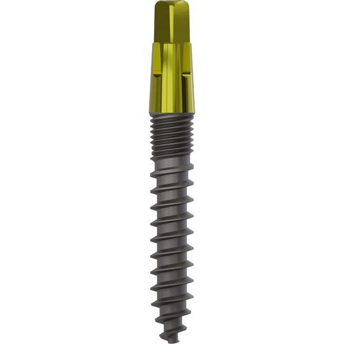 Conical dental implant - 1120 - Champions Implants GmbH - titanium / straight