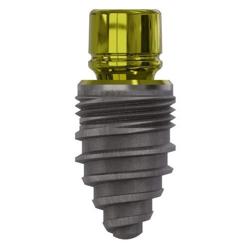 Conical dental implant - 0822 - Champions Implants GmbH - titanium / straight / one-piece