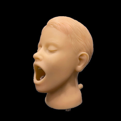 Head model - PHT - GF DENTAL - rod / mouth / joint