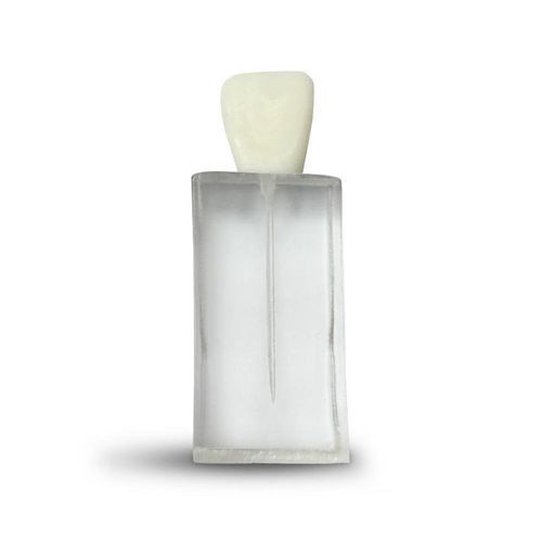 Dental model - E07/C - GF DENTAL - for endodontics / training / white