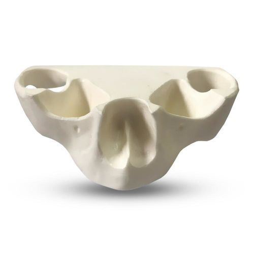 Serosa anatomical model - E36/N - GF DENTAL - sinus / bone / jaw