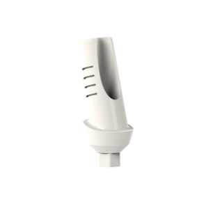 PEEK implant abutment - 7200013 - TAV Dental Ltd. - internal hexagon / angled / temporary