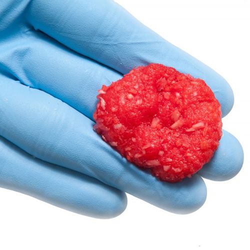 Allograft bone substitute - BioAdapt® DBM - RTI Surgical - for orthopedic surgery / malleable
