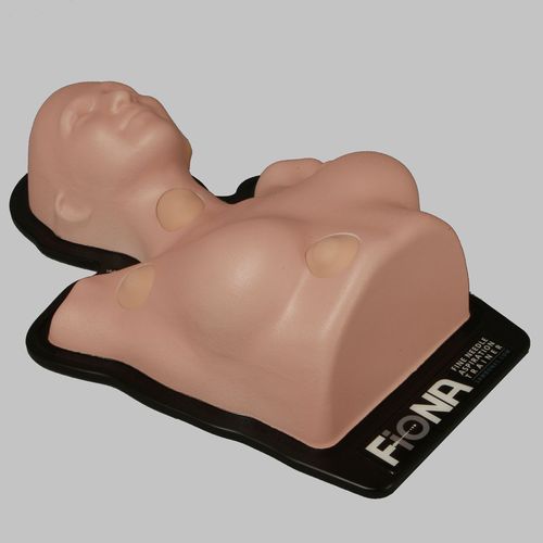 Training simulator - FioNA™ - Sawbones/Pacific Research Labs - injection / puncture / for general care