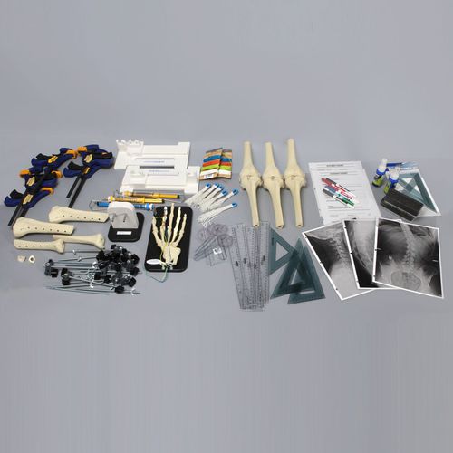 Training simulation trainer - Orthopaedics in Action® - Sawbones/Pacific Research Labs - surgery / anatomy / scoliosis