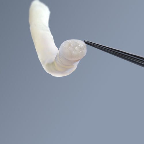 Nerve tissue matrix - avance® - AxoGen - allograft