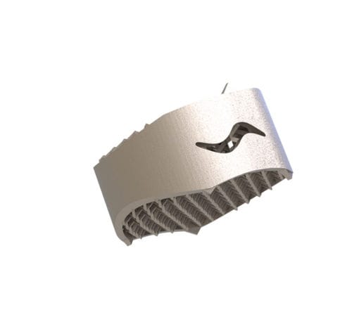 Cervical interbody fusion cage - Capraia ACIF - Tsunami Medical - anterior / titanium
