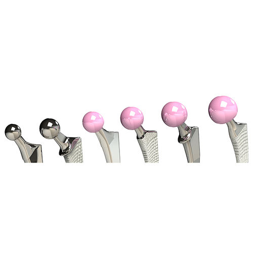 Femoral head prosthesis - BIOLOX® - X-NOV Medical Technology