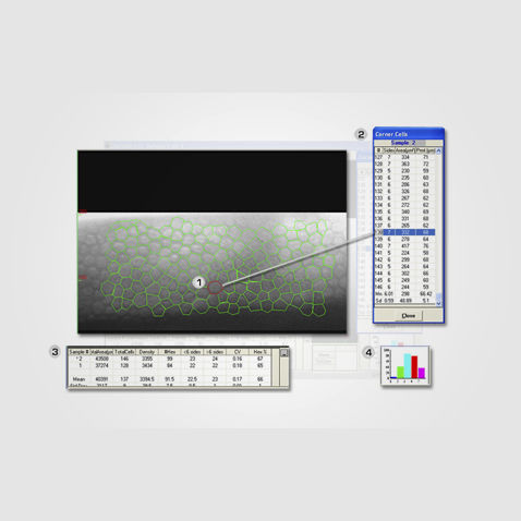 Analysis software - CAS/CL - HAI Laboratories - image enhancement / medical image import / calibration