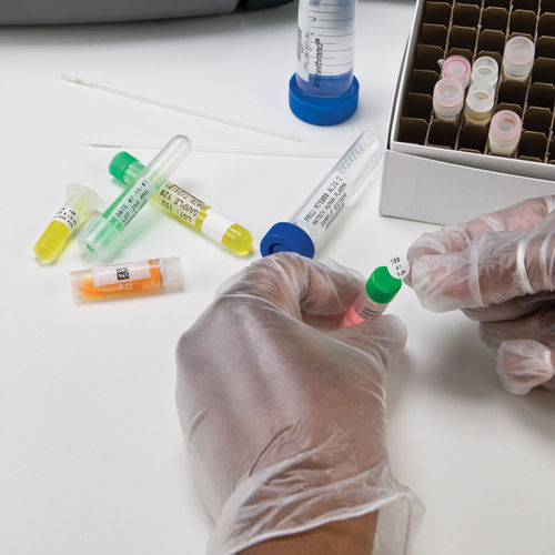 Vial label - M61 series - Brady EMEA - cryogenic