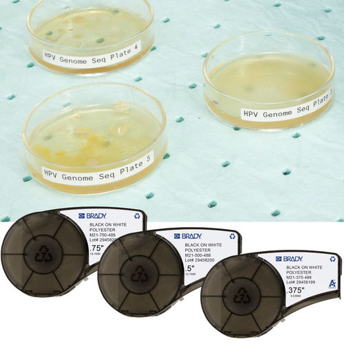 Petri dish label roll - M21-375-488 - Brady EMEA